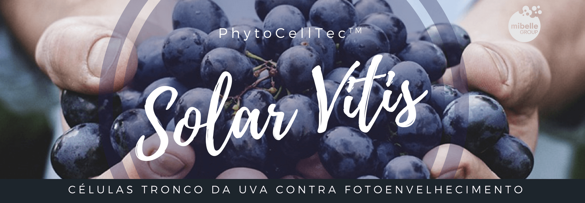 PhytoCellTec™ Solar Vitis